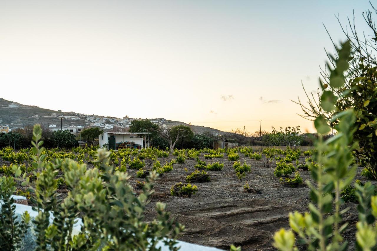 Sn Santorini Apartments Kamari  Bagian luar foto